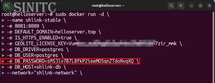 Terminal hiển thị mật khẩu PostegreSQL DB cho máy chủ demo.