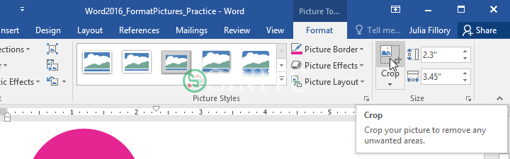 Chọn Crop để cắt ảnh trong Word 2016