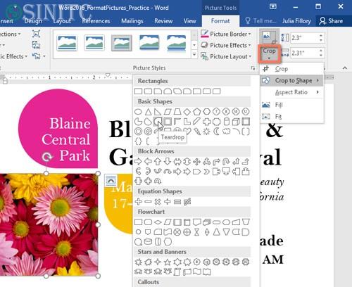Các tùy chọn Crop ảnh trong Word 2016