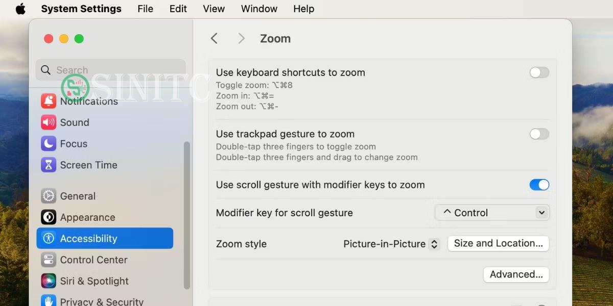 Cài đặt zoom trong cài đặt trợ năng của máy Mac
