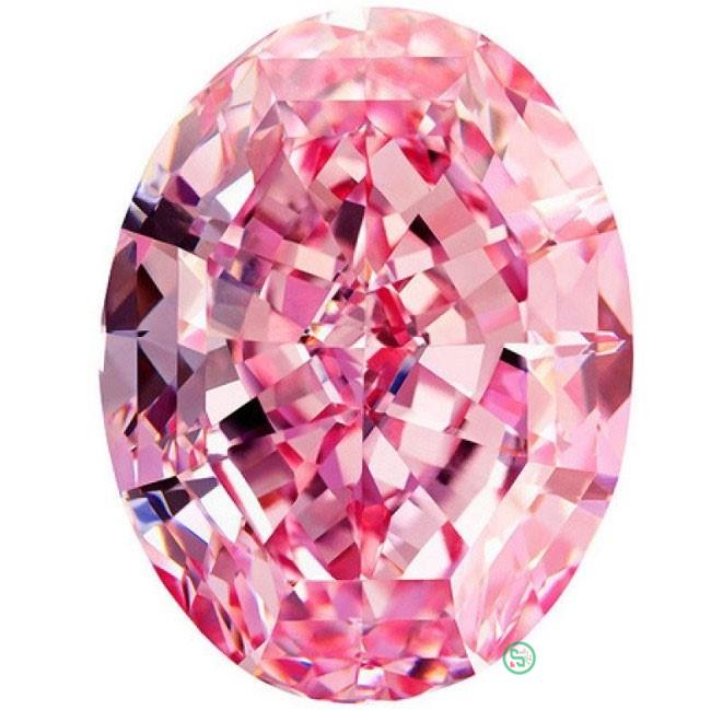  Kim cương Steinmetz Pink 