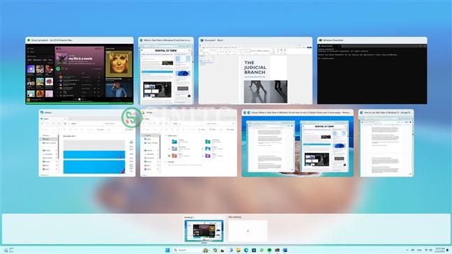 Task View trong Windows 11