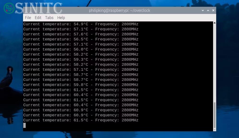 Pi 5 đang chạy stress test trong terminal