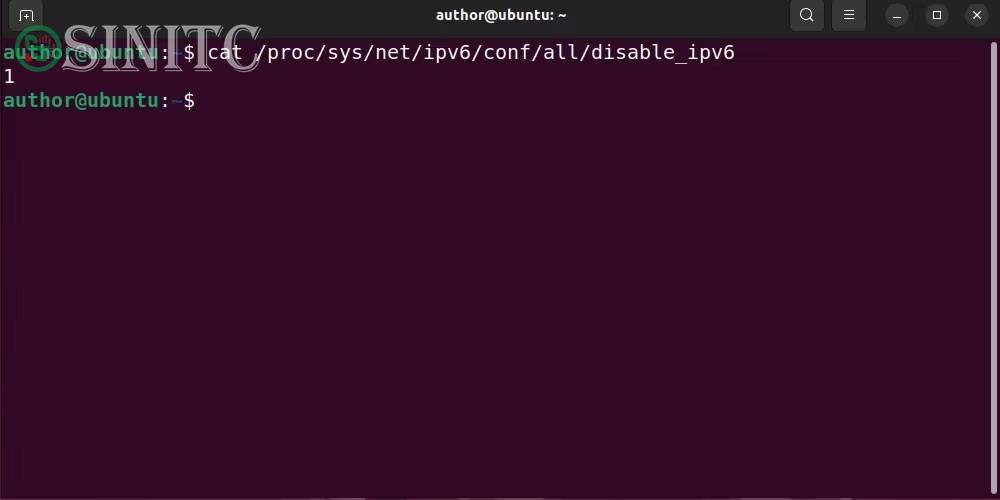 Kiểm tra trạng thái IPv6 trên Ubuntu