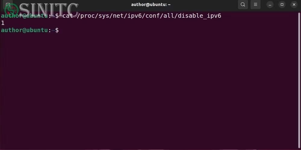 Kiểm tra trạng thái IPv6 trên Ubuntu