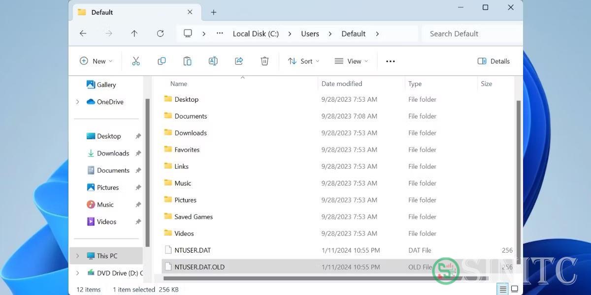 Sao chép file NTUSER vào thư mục Default