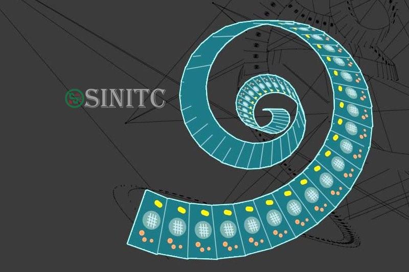 Những quần thể vi khuẩn tụ tập sống cùng nhau có thể là khởi đầu cho sinh vật đa bào 