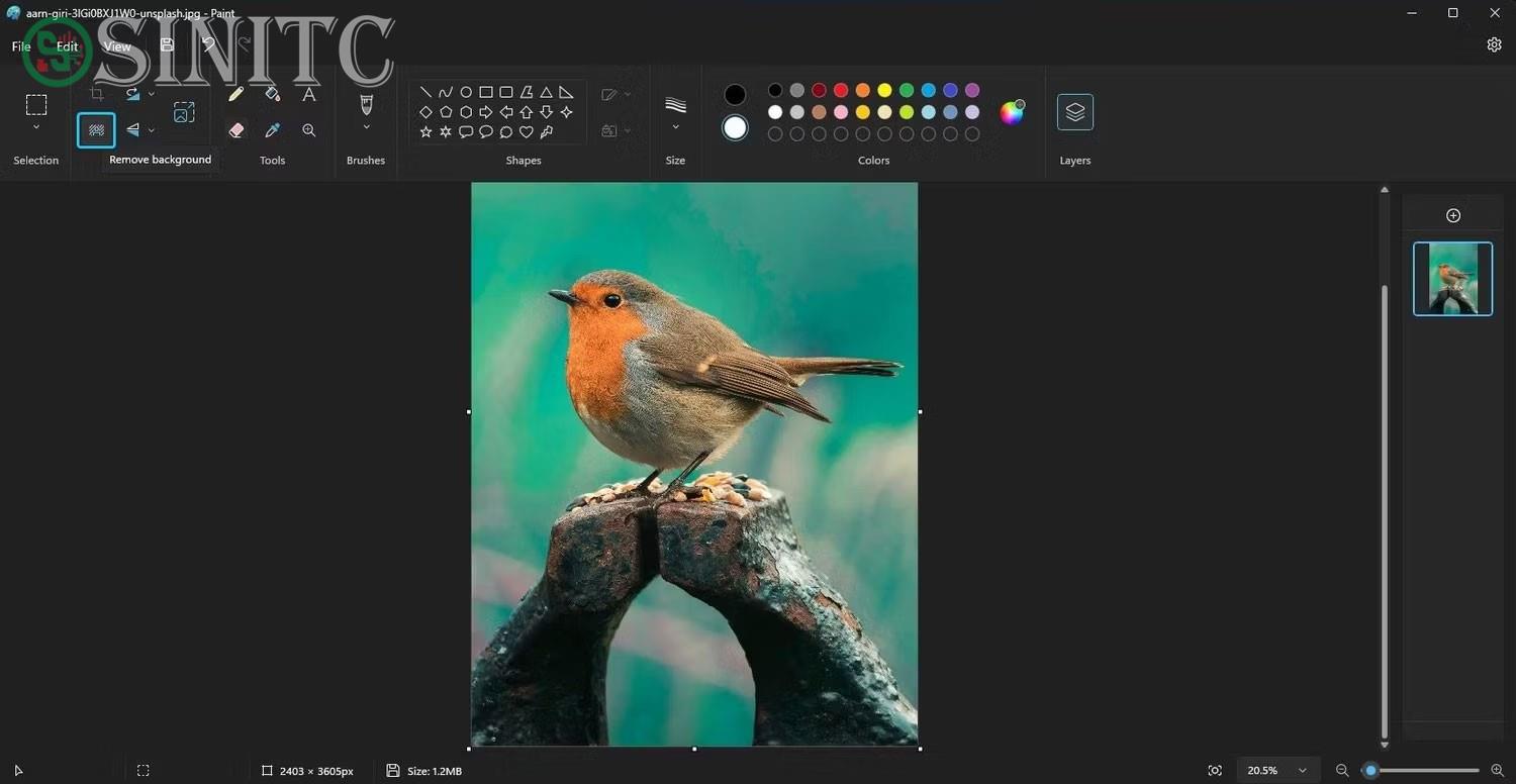 Ứng dụng Microsoft Paint có hình ảnh con chim và tùy chọn xóa nền được chọn trong Windows 11