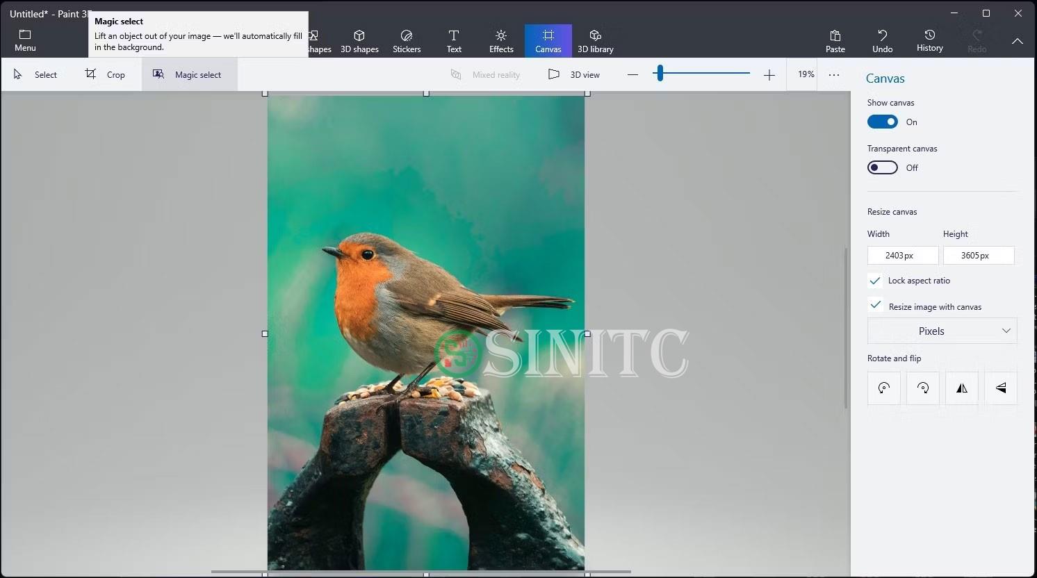 Ứng dụng Paint 3D với tùy chọn Magic Select được chọn trong Windows 11