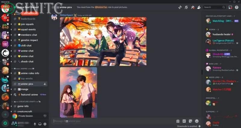 Anime Soul trên Discord.