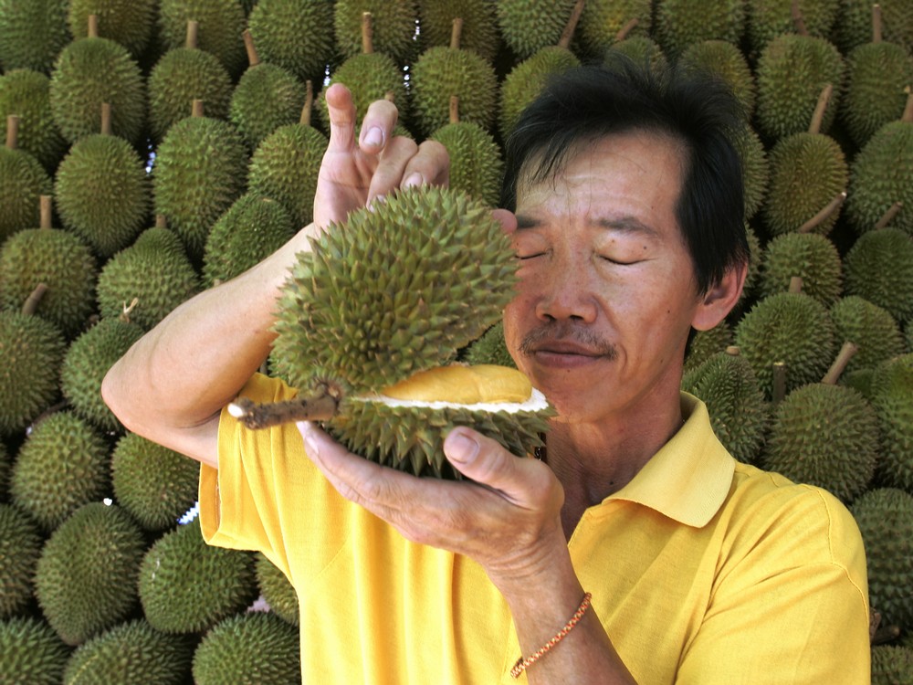 Chọn những trái có mùi thơm nồng