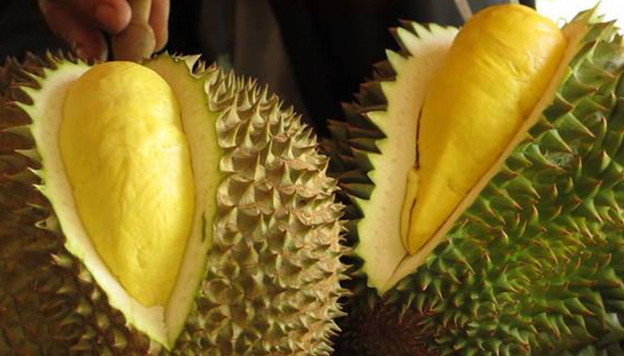 Màu vỏ xanh rêu, ửng vàng