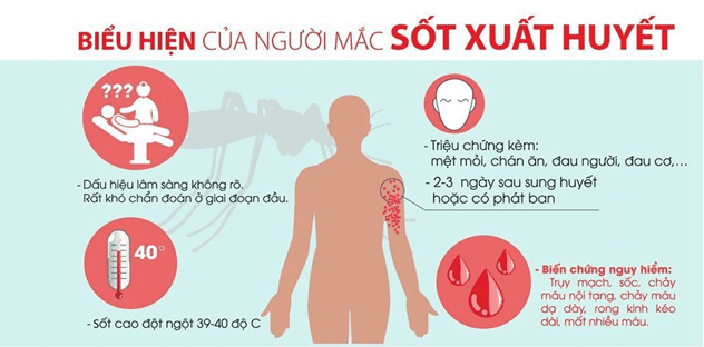 biểu hiện người mắc sốt xuất huyết