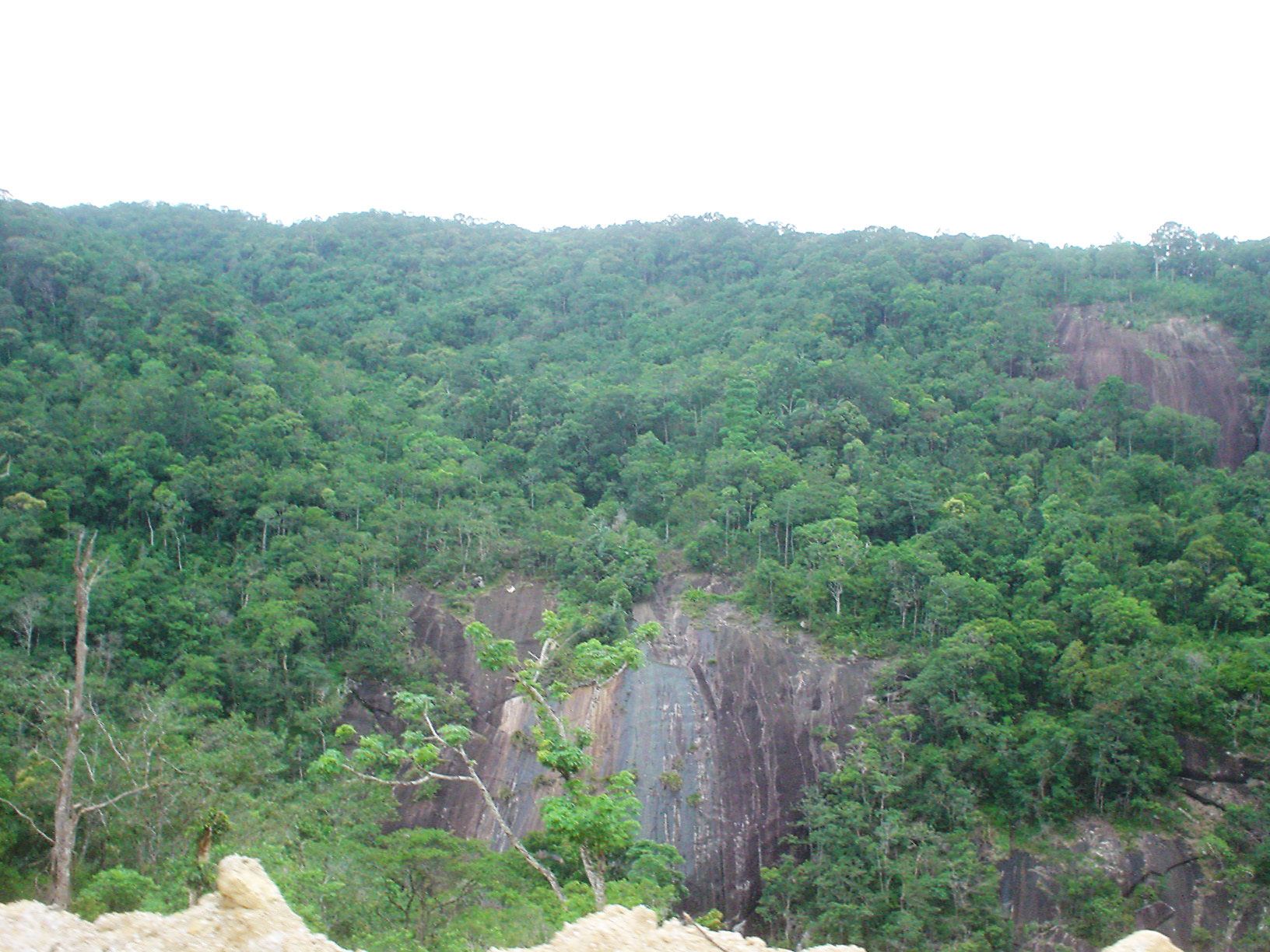 Vườn quốc gia Chư Yang Sin