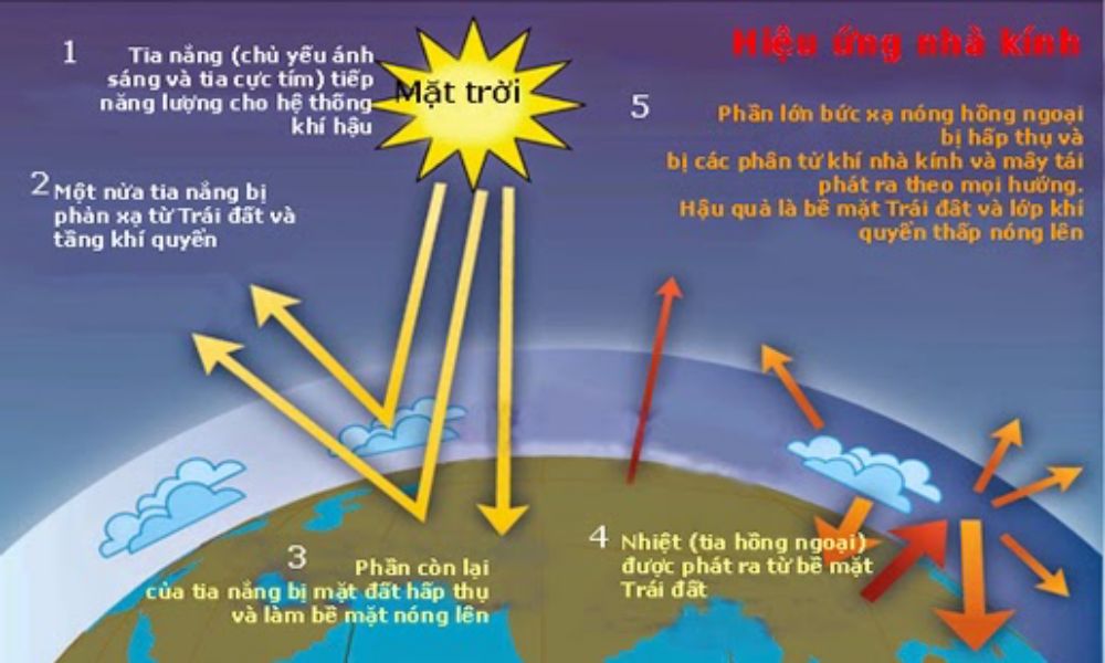 Hiệu ứng nhà kính là gì? Nguyên nhân, hậu quả và cách khắc phục để giảm ...